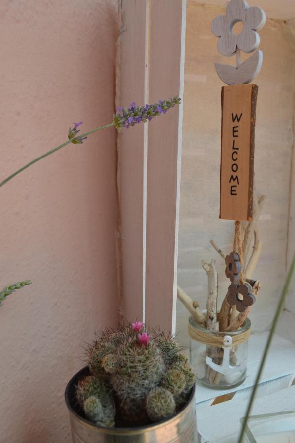 Into The Wild Green B&B Alghero Exterior photo