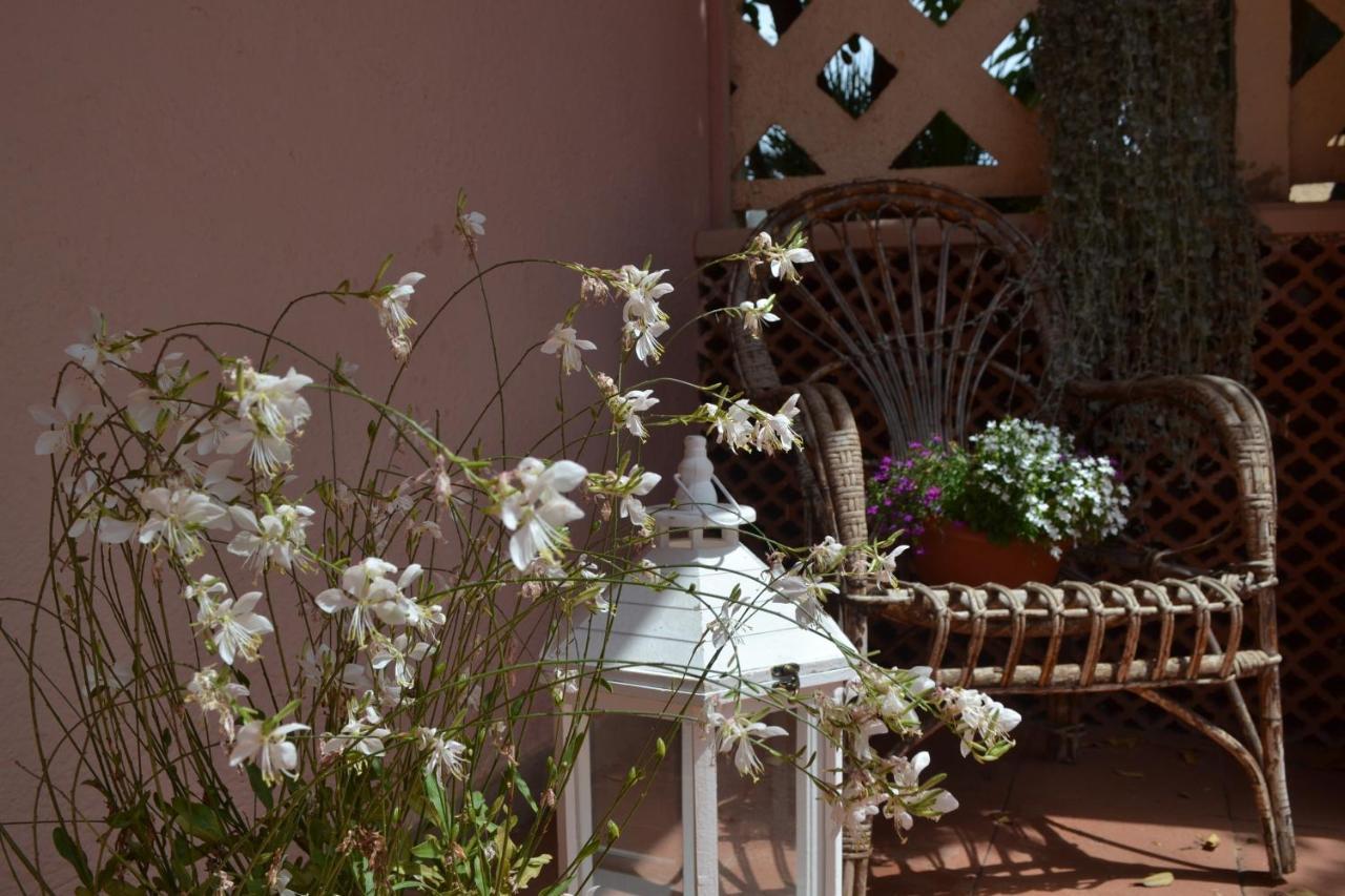 Into The Wild Green B&B Alghero Exterior photo